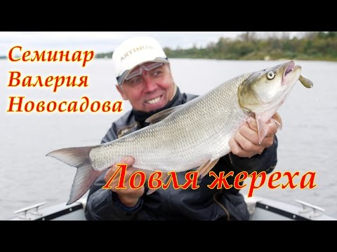 Видео: Ловля жереха: семинар Валерия Новосадова