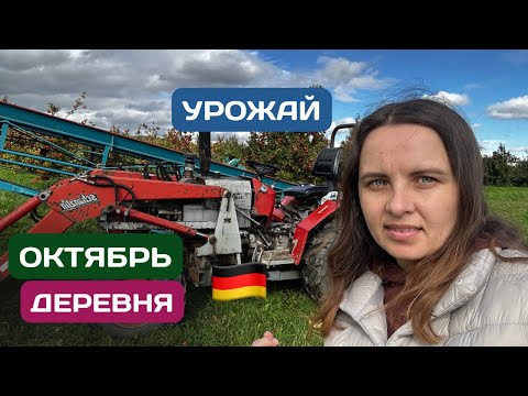 Видео: Октябрь в деревне Германии — собираем урожай!