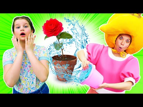 Видео: Принцесса Сина стала супергероем как Леди Баг! Куклы и игрушки в видео для девочек