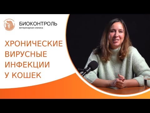 Видео: 🦠 Вирусные инфекции кошек: симптомы, лечение, профилактика. Хронические вирусные инфекции кошек. 18+