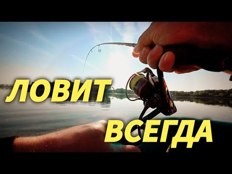 Видео: Ловит ВСЁ и ВСЕГДА!!! Тейл-Спиннер СУПЕР Приманка.Рыбалка на Оке