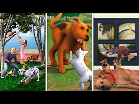 Видео: Кошки и Собаки в The Sims / Сравнение 3 частей