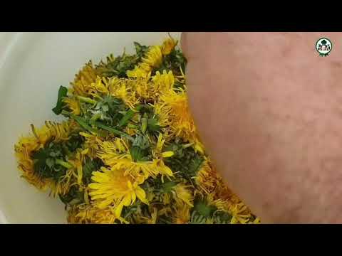 Видео: ДОМАШЕН СИРОП ОТ ГЛУХАРЧЕ