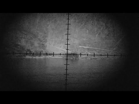 Видео: Охота на бобра с мелкашкой. Клондайк иссяк