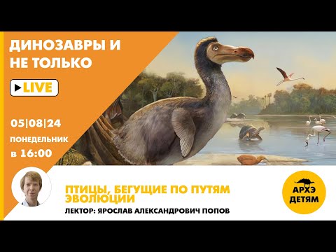 Видео: Занятие "Птицы, бегущие по путям эволюции"  кружка "Динозавры и не только" с Ярославом Поповым