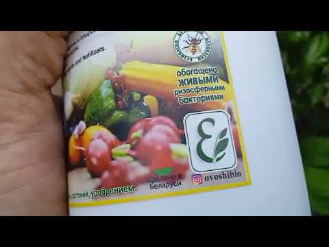 Видео: ВНИМАНИЕ! ПОДДЕЛКА! Не попадитесь на удочку мошенников. Поддельные препараты опасны!