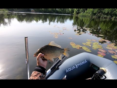 Видео: Ловлю огромных карасей с лодки в зарослях белых лилий.  Рыбалка на поплавок в стиле лайт..