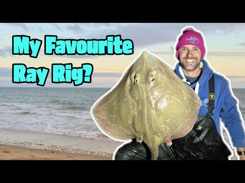 Видео: Это действительно ЛУЧШАЯ установка Ray? 🎣🐟
