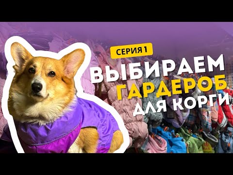 Видео: Выбираем осенний гардероб для самой сладкой булочки! 🥖