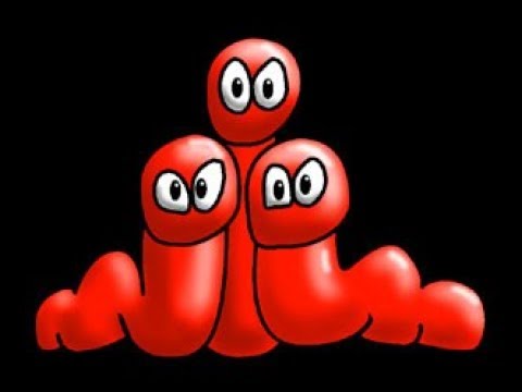 Видео: Самая Крупная Вермиферма в Средней Азии или мечта Вермера. Часть 1-я