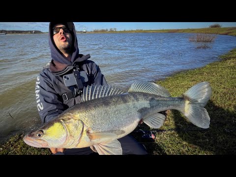 Видео: СУДАК ВЕСНОЙ НА ДЖИГ. КАК ЛОВИТЬ? МОНСТР НА КРЮЧКЕ 🔥