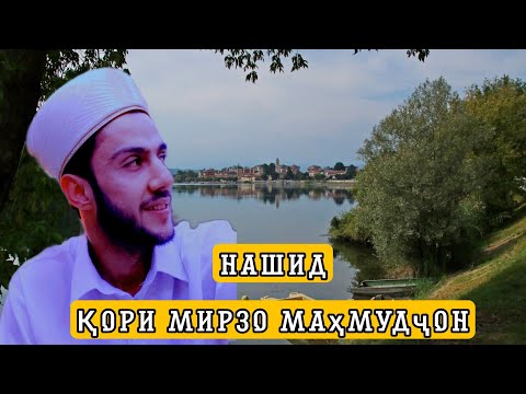 Видео: Кори Мирзо Махмуд Нашид Суроги Муҳаммад