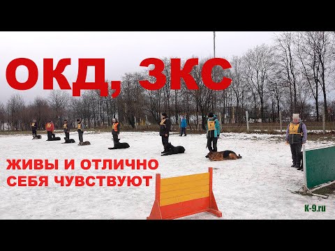 Видео: ОКД и ЗКС