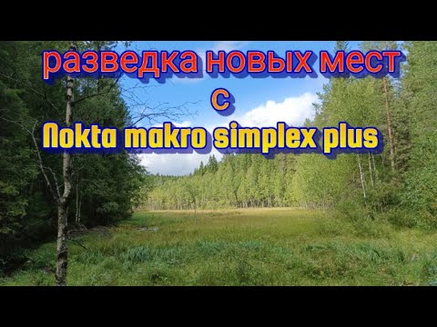 Видео: разведка новых мест с Nokta makro simplex plus