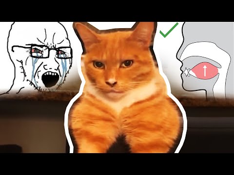 Видео: МЬЮИНГ🤫🧏‍♂️ — ОТКУДА МЕМ?