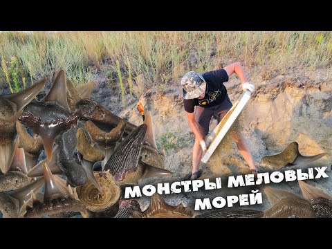 Видео: БОЛЬШАЯ ЭКСПЕДИЦИЯ за зубами ДРЕВНИХ АКУЛ И ЯЩЕРОВ | ОБИЛИЕ РЕДКИХ НАХОДОК