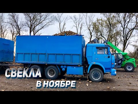 Видео: СЛОЖНОСТИ уборки в ноябре на КАМАЗЕ
