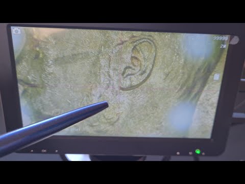 Видео: Как отличить AU от MS? Разбор 7.5 рубля 1897 года при помощи микроскопа!