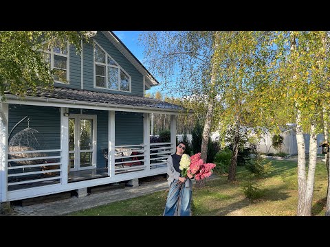 Видео: Дачный влог. Как быстро убрать листья с газона . 