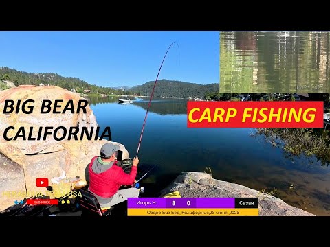 Видео: ХЕРАБУНА СТИЛЬ - САЗАН КЛЮЁТ БЕЗ ОСТАНОВКИ НА ОЗЕРЕ BIG BEAR CALIFORNIA !!!