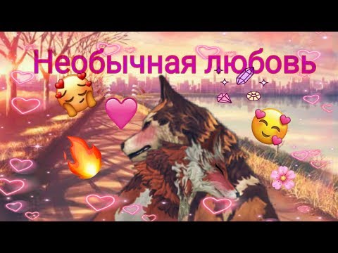 Видео: Необычная любовь 1серия {Wildcraft}