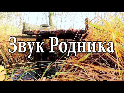 Видео: 1 час расслабляющих звуков природы - Медитация под Звук Родника. (139)