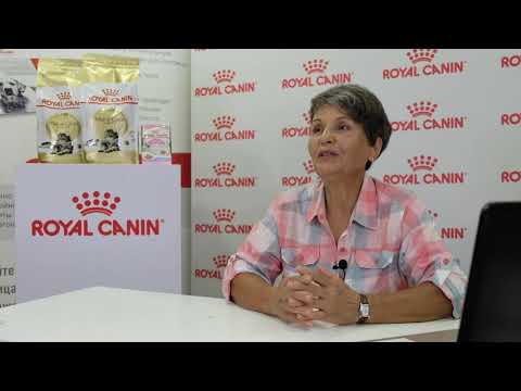 Видео: Популярно о сложном: кошки и гены. Законы распределения генетической информации.
