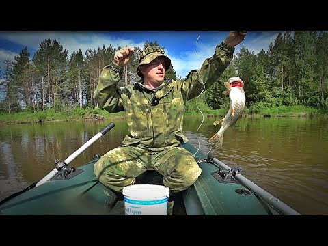 Видео: ЗАБЫТАЯ ДЕДОВСКАЯ СНАСТЬ/ЛОВЛЯ ЩУКИ НА САМОЛОВКИ/ПОСТАВУШКИ НА РЕКЕ...
