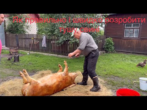 Видео: Як правильно  розробити тушу свині 🐖