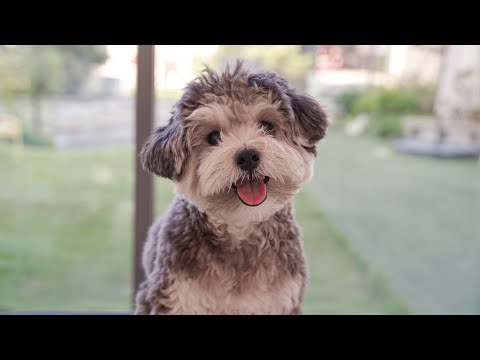 Видео: У нее милая улыбка.