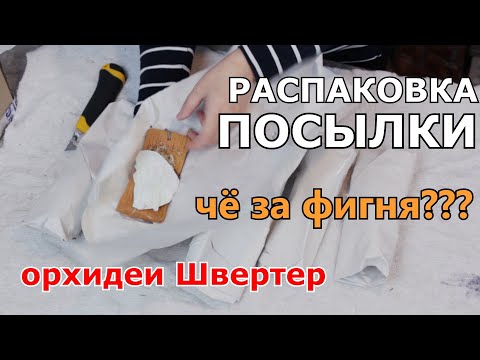 Видео: Одна маленькая деталь ИСПОРТИЛА ВСЁ ВПЕЧАТЛЕНИЕ от целой посылки!  Орхидеи  Schwerter Orchideenzucht