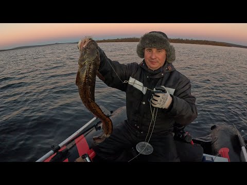 Видео: НОЧЬЮ НА БУТЫЛКУ ЛОВИМ НАЛИМА