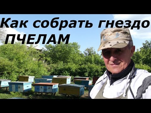 Видео: Что будет, если неправильно собрать гнездо пчелам в зиму?