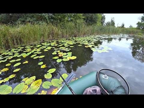 Видео: ЩУКИ ОБЕЗУМЕЛИ И ГНУТ СПИННИНГ! Рыбалка осенью на спиннинг.