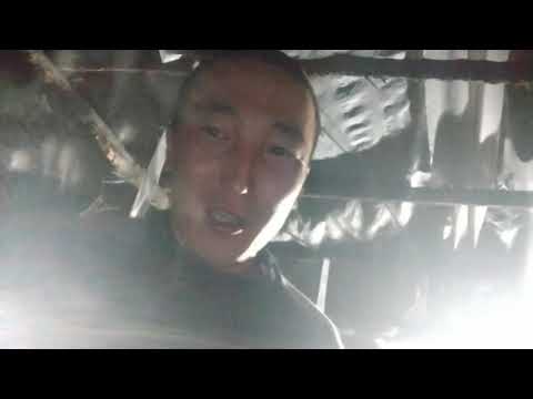 Видео: Қияр жапырағы сарғайса не істеу керек