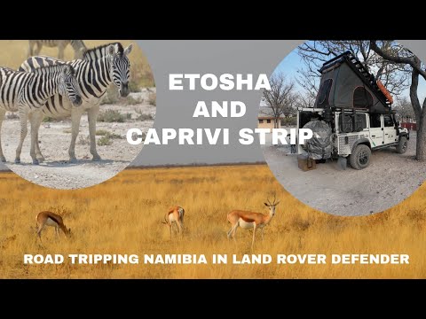 Видео: Путешествие по маршруту Намибия — Этоша — Каприви на нашем Land Rover Defender | Самостоятельное ...