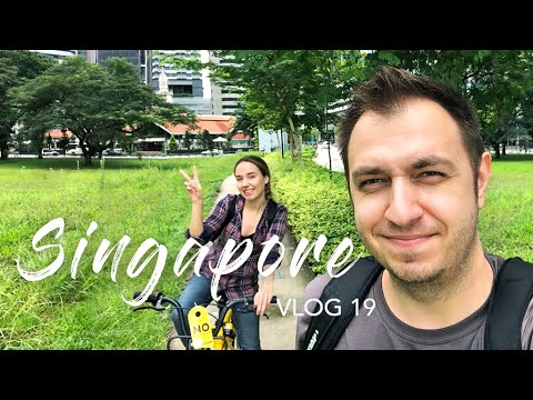 Видео: СИНГАПУР VLOG #19