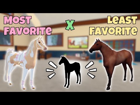 Видео: Скрещивание моих ЛЮБИМЫХ лошадей с моими НЕЛЮБИМЫМИ лошадьми! | Острова диких лошадей