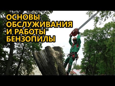 Видео: Основы обслуживания бензопилы и ее надежной работы