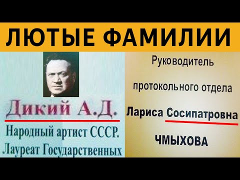 Видео: УГАРНЫЕ ФАМИЛИИ - ДИКИЙ АД, ЛАРИСА СОСИПАТРОВНА, ГАЛИНА КАКУЛЯ