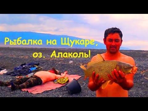 Видео: Рыбалка на Щукаре, оз. Алаколь! (видео из архива)