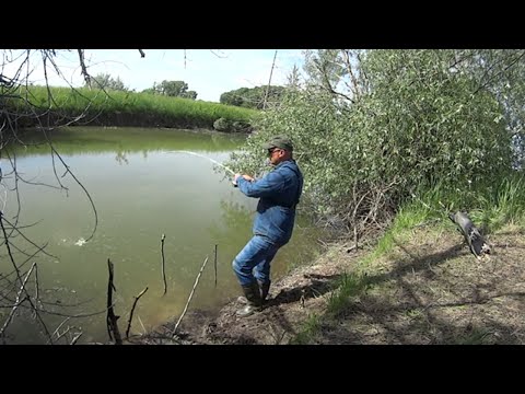 Видео: Мормышинг. Уловистые проводки на карася.