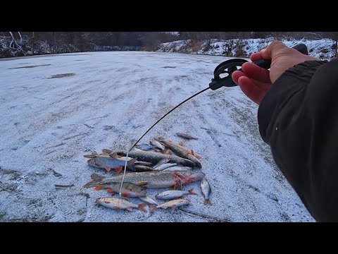 Видео: ПЕРВЫЙ ЛЁД! ОПАСНЫЙ НО ЩЕДРЫЙ! НЕОЖИДАЛ ТАК ПОЛОВИТЬ! Рыбалка на жерлицы и мормышку 2024.