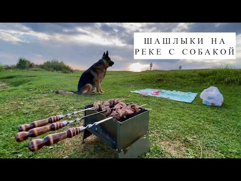 Видео: ШАШЛЫНДОС С СОБАКОЙ НА РЕЧКЕ [влог] - опять пропала глубина у реки?