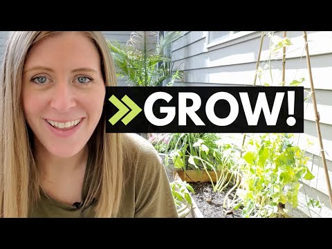 Видео: 10 способов РАЗВИТИЯ вашего бухгалтерского бизнеса