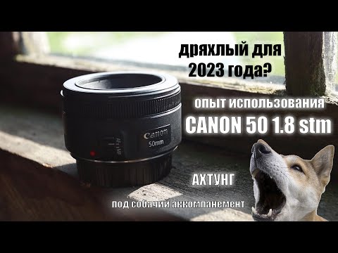 Видео: Опыт использования canon ef 50 1.8 stm. Лучший объектос для начинающих? Или недопортретник?