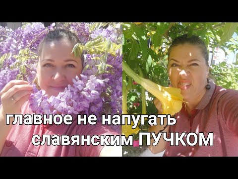 Видео: Интимная гигиена женщин в Турции/из крайности в крайность. часть 1.