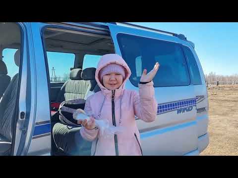 Видео: Алёна школатыгар барда