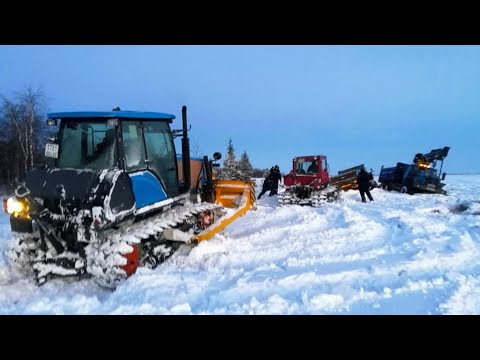 Видео: Трактор Дт-75 на севере НАО,сезон 2023.