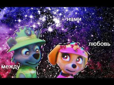 Видео: 🍀💚 рокки и скай 🌼💗между нами любовь💞 для метеор 💖🌚